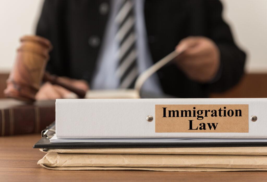 Lawsuit folder of immigration law with a judge on the background.
